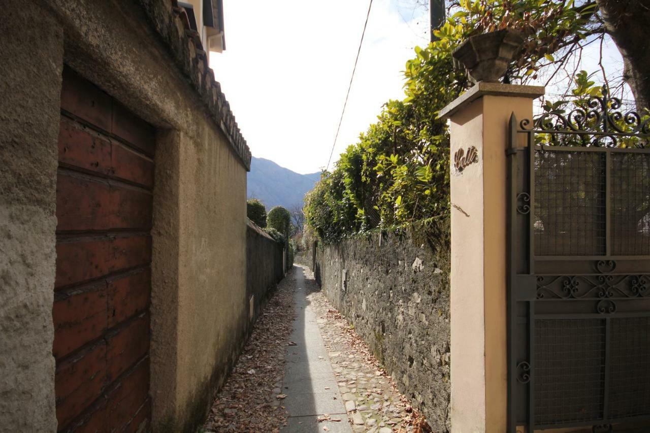 Il Nido Nella Quiete Apartment Tremezzo Bagian luar foto