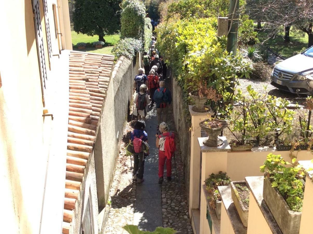 Il Nido Nella Quiete Apartment Tremezzo Bagian luar foto